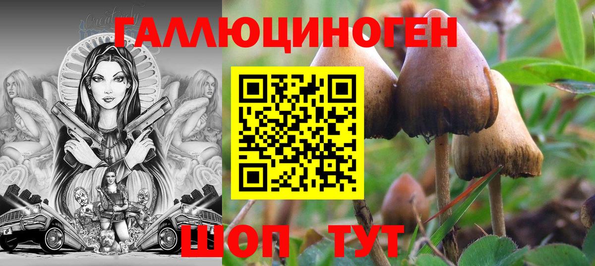 Михайловка  Псилоцибиновые грибы прущие грибы  Вход с VPN 