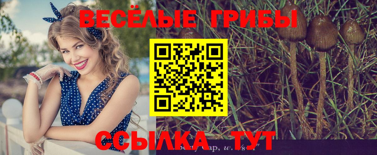 Галлюциногенные грибы мухоморы Михайловка